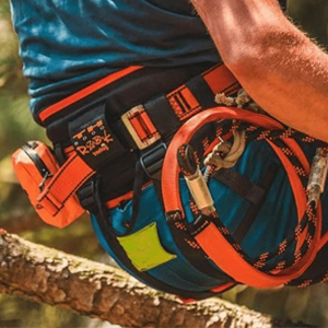 Treehog Climbing Harness 300px